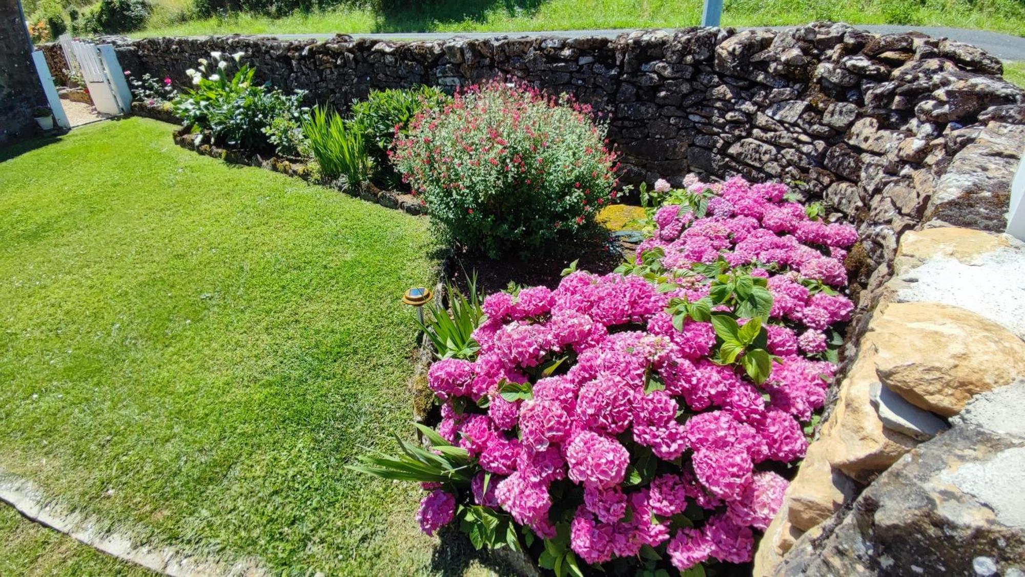 Au Grand Bonheur - Gite Padirac - Rocamadour Miers Exteriör bild